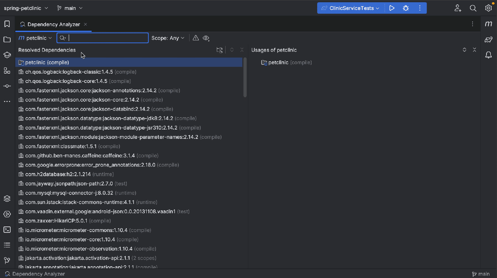 Dependency Analyzer