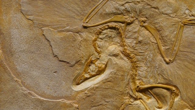 Git Archeology: Removing the Sands of Time from Code