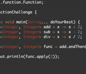 function java