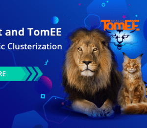tomcat tomee clusterization