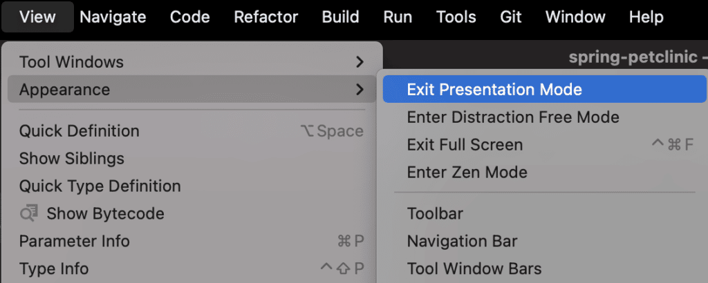 idea exit presentation mode