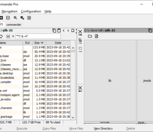 Files in JDK 21