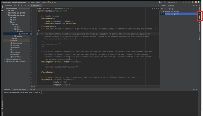 Screenshot of where the Liberty Tools window can be located within IntelliJ IDEA