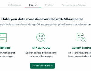 Atlas Search index creation