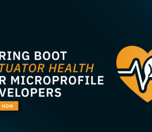 SpringBoot Actuator Health for Microprofile Developers