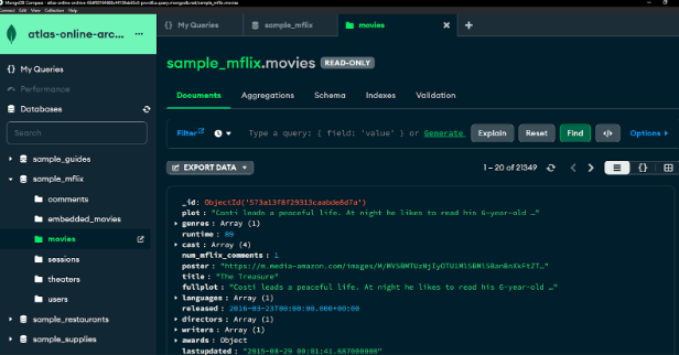 Archived cluster data &ndash; both your cluster and archived data access by using this instance/connection string
